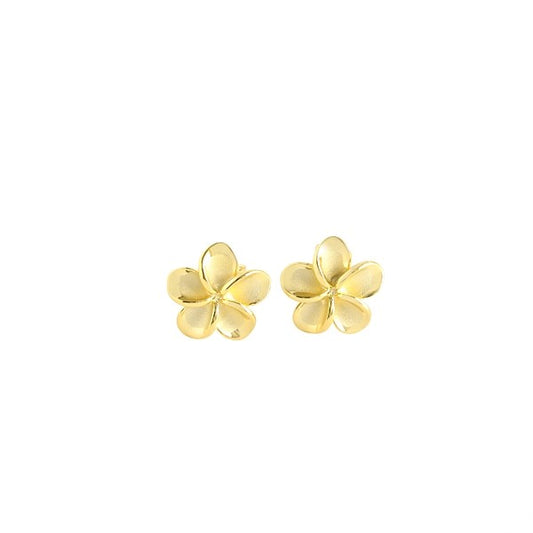 14K Yellow Gold 10mm Earrings