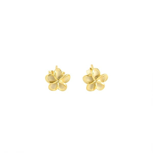 14K Yellow Gold Earrings 8mm